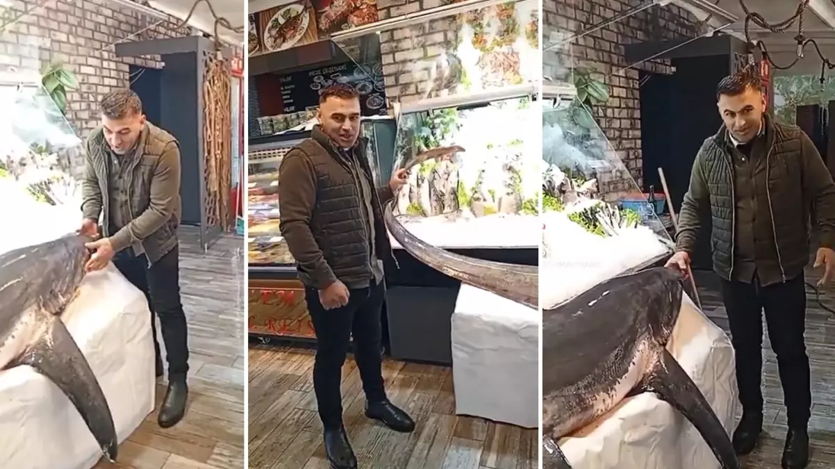 Koruma altındaki Sapan köpek balığını avladı, pişkin pişkin anlattı