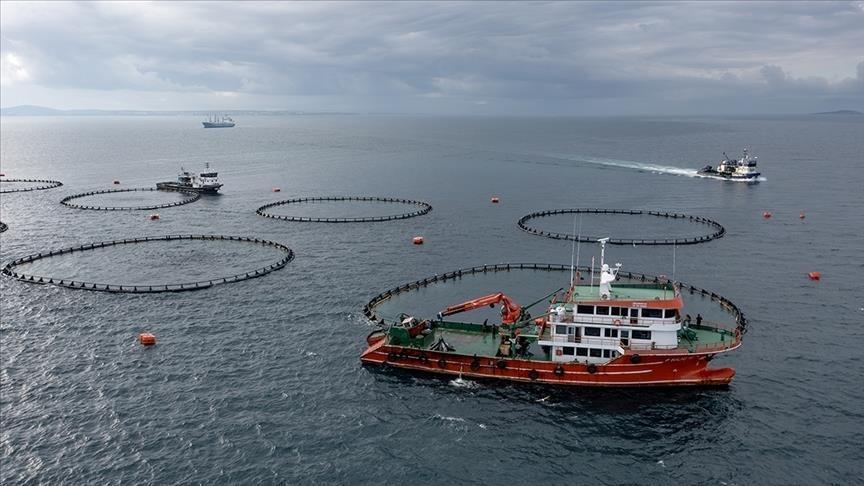 Doğu Karadeniz’in su ürünleri ihracatı arttı