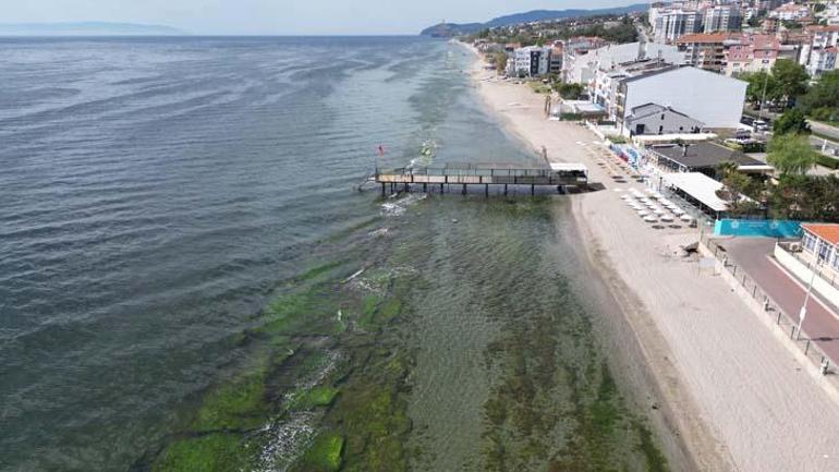 Tekirdağ'da mavi bayraklı plaj sayısı 10'a yükseldi