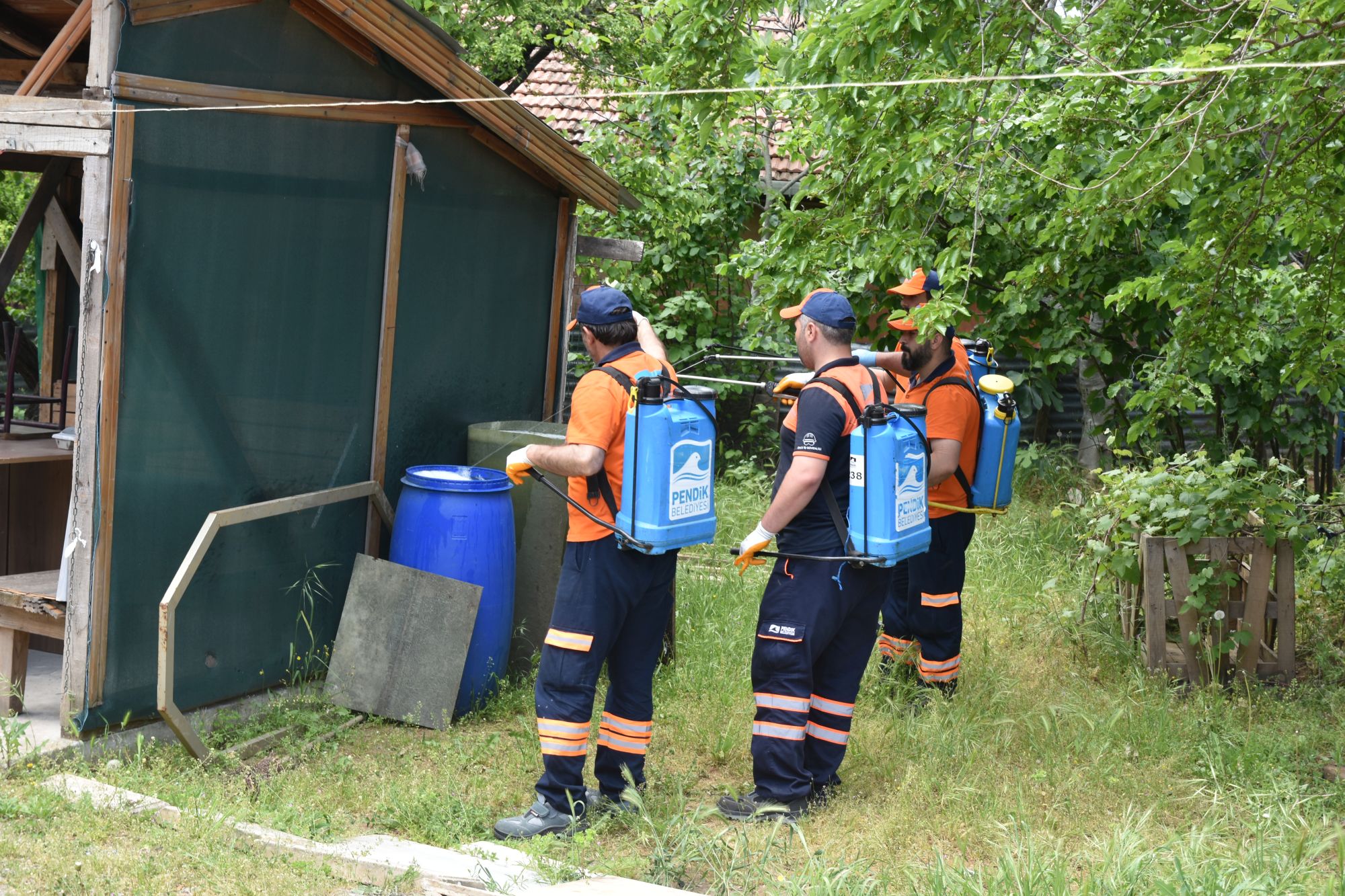 Pendik’te Haşere Seferberliği
