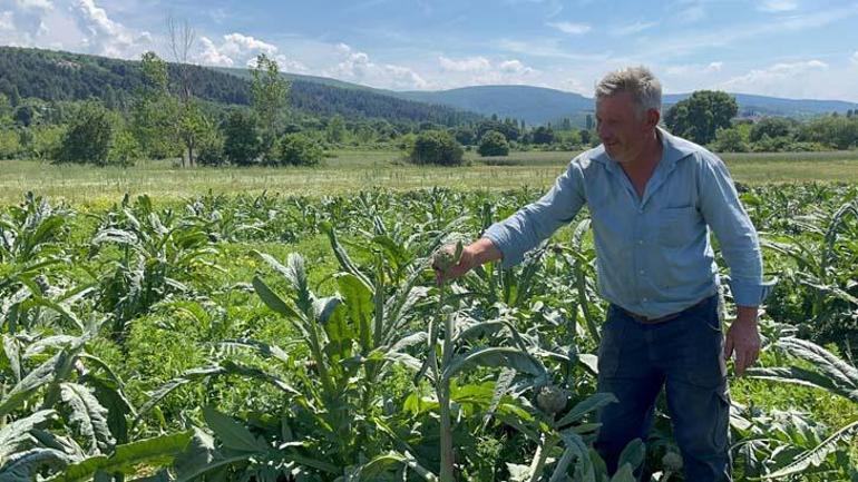 Hasat için tarlaya geldi, gözlerine inanamadı!