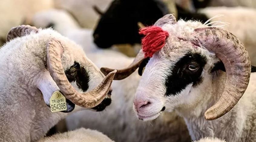 Beklenen açıklama geldi! Kurban Bayramı tatili uzatılmadı