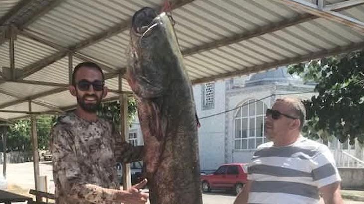 Meriç Nehri’nde 80 kilogramlık yayın balığı yakalandı