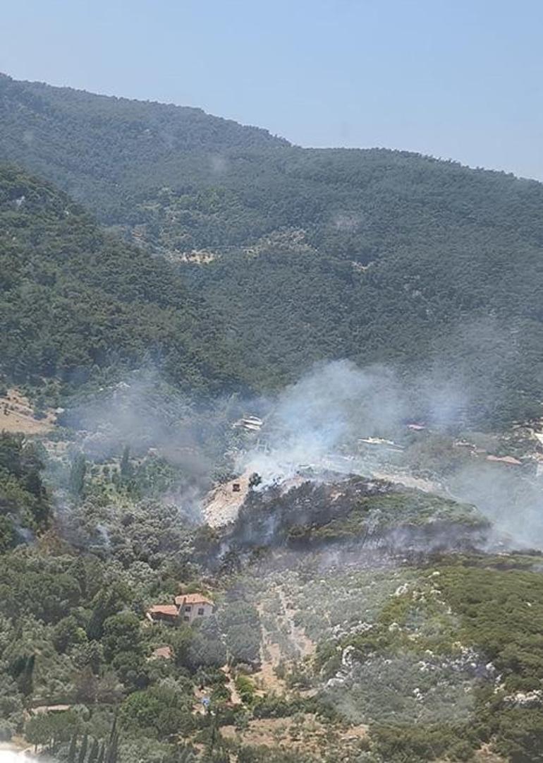 İzmir'de orman yangını! Ekipler sevk edildi