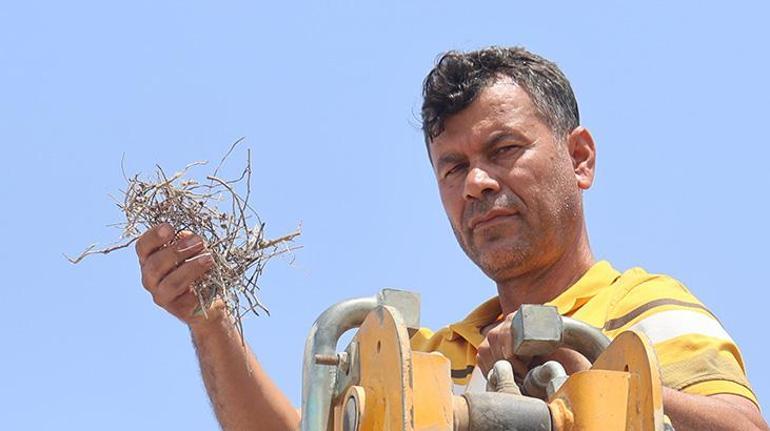 Parayı değil 'merhameti' seçti: Sonuna kadar bekledik ve hayırlısı oldu