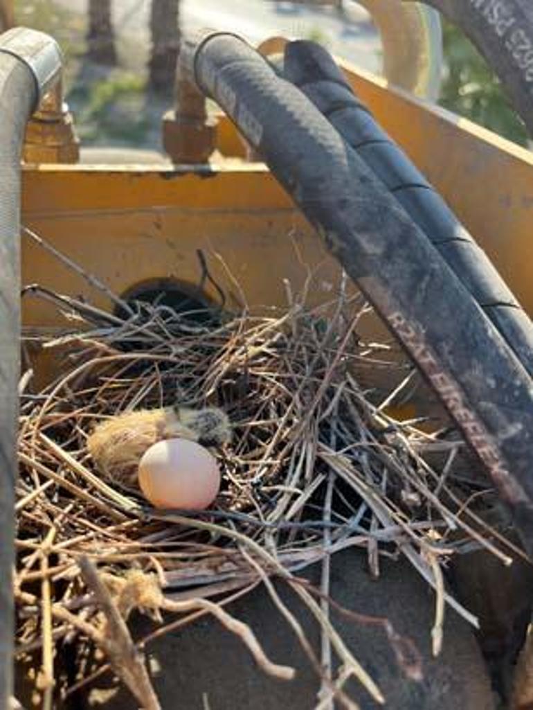 Parayı değil 'merhameti' seçti: Sonuna kadar bekledik ve hayırlısı oldu