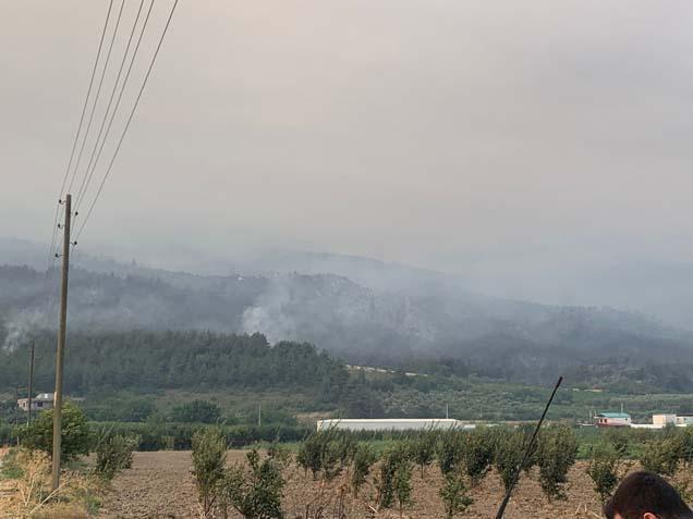 Yer: Sakarya! Alev çemberinin içinden geçtiler
