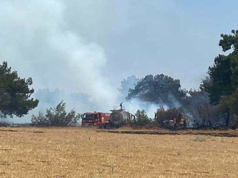 Çanakkale'de orman yangını! Çok sayıda ekip sevk edildi