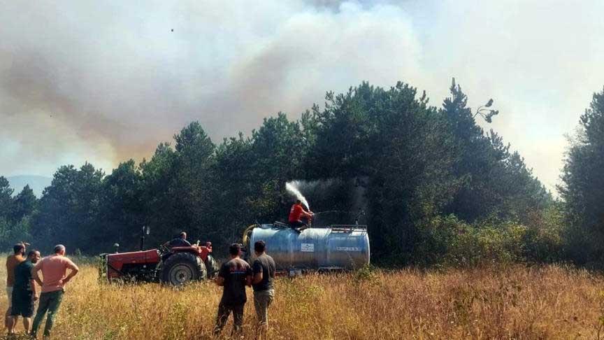 Sakarya’da orman yangını!
