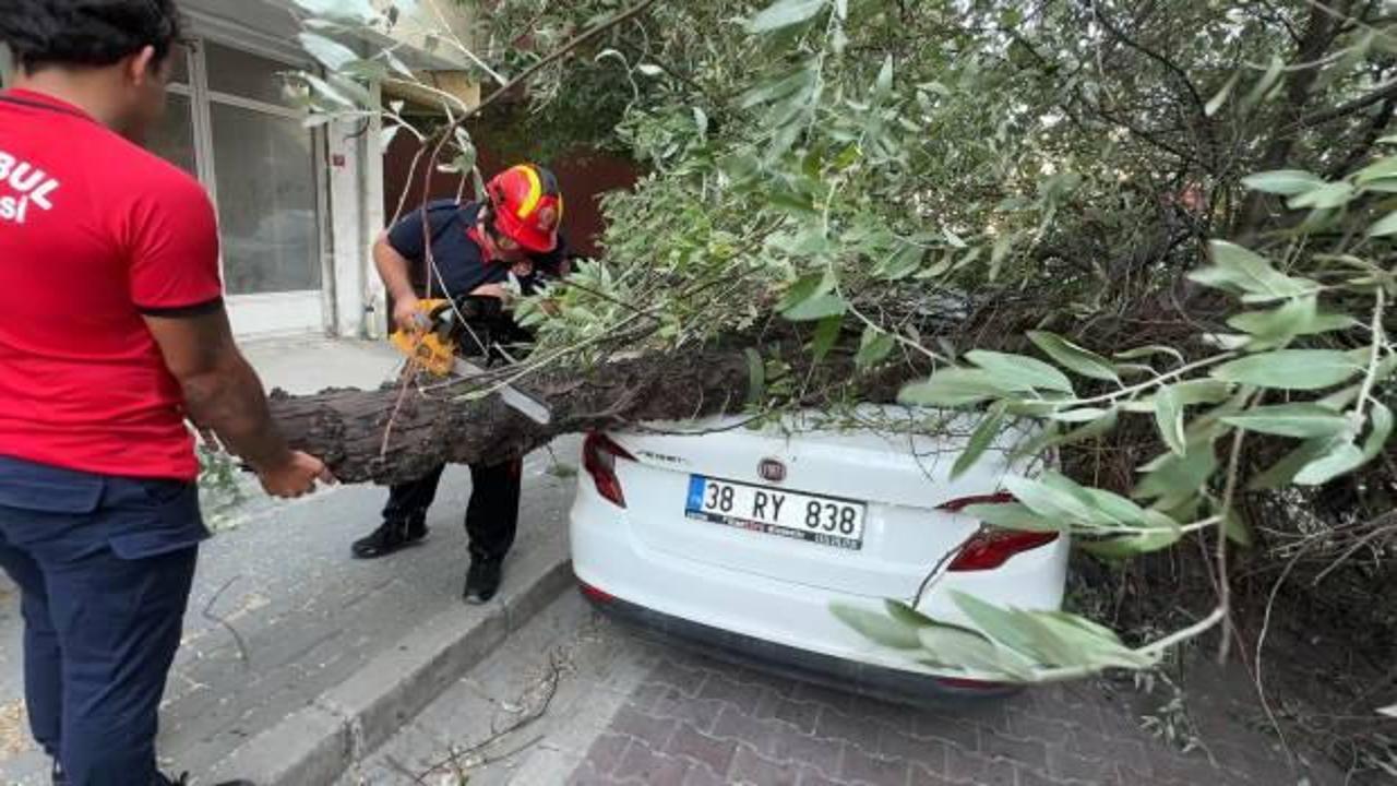 İstanbul’da korku dolu anlar: 3 ağaç birden devrildi!