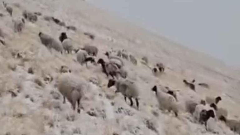 Son dakika... Eylül ayında kar sürpriz! Mahalleli şaşkına döndü