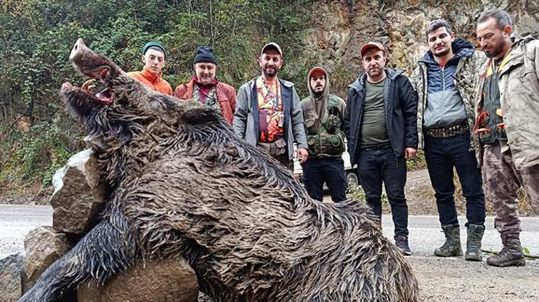 Dev avlandı! 7 avcı peşindeydi, Trabzon'da öldürüldü
