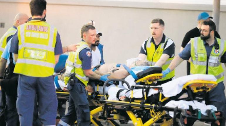 Plajı kana buladılar!