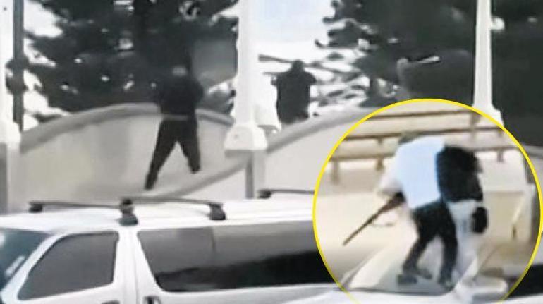 Plajı kana buladılar!