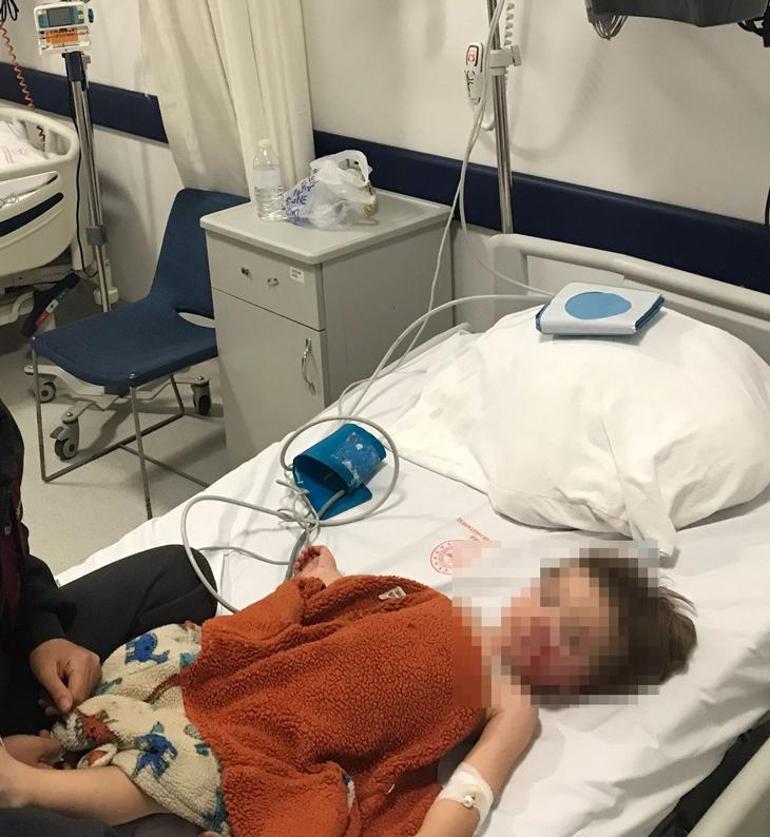 Başkentte pitbull dehşeti! Acılı babadan yardım çağrısı: Çocuklarımın yüzüne bakamam