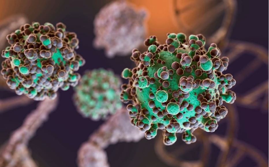 Dünyada yeni virüs alarmı: Aşı yok, tedavi yok! Ülkeler harekete geçti…