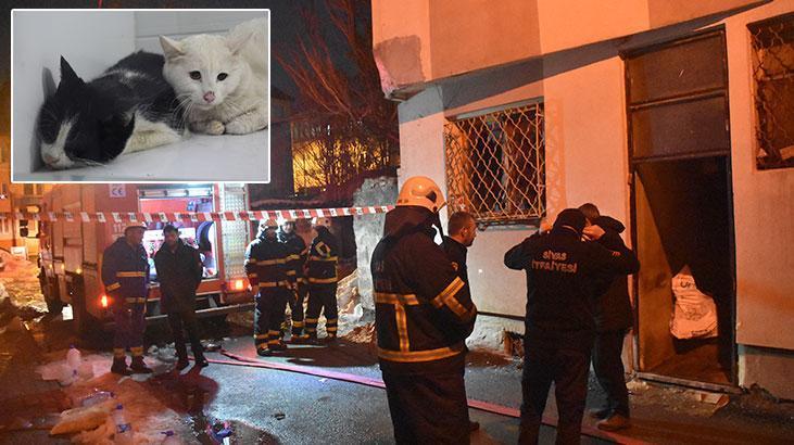 Sivas’ta kedilerin beslendiği evde yangın çıktı! 26 kedi öldü