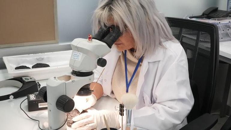 Yüz binlerce eser dijital kimliğe kavuştu