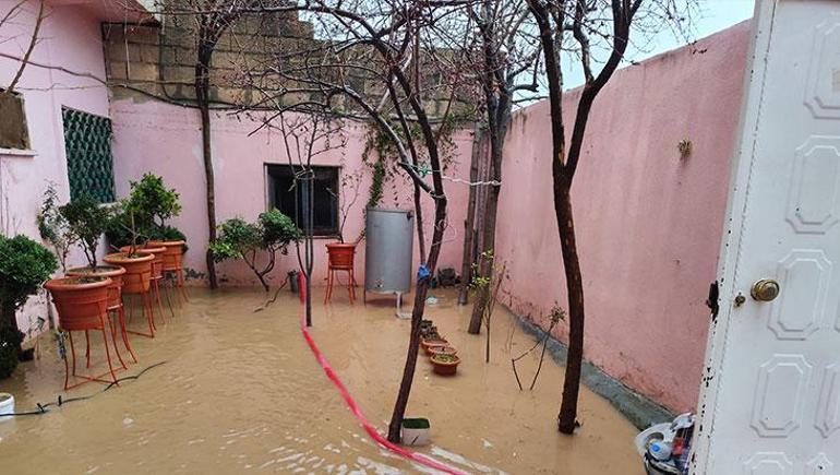 Mardin'de şiddetli yağış felakete yol açtı! Araçlar sürüklendi, hayvanlar telef oldu