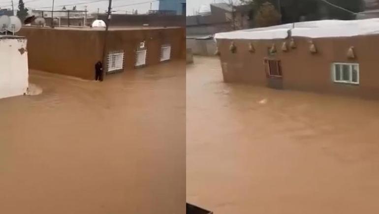 Mardin'de şiddetli yağış felakete yol açtı! Araçlar sürüklendi, hayvanlar telef oldu