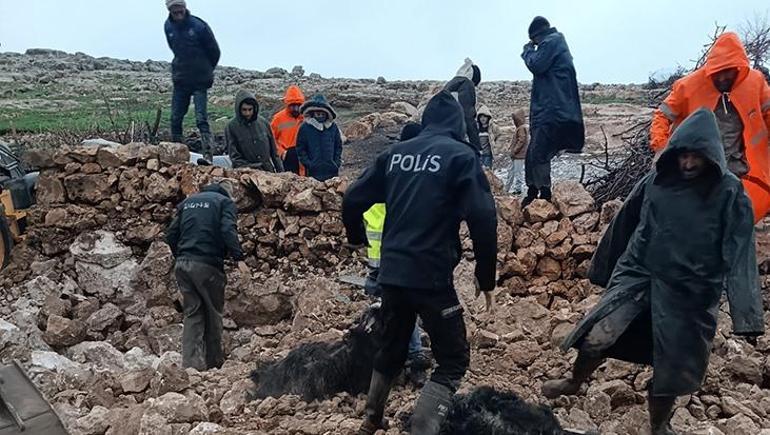 Mardin'de şiddetli yağış felakete yol açtı! Araçlar sürüklendi, hayvanlar telef oldu