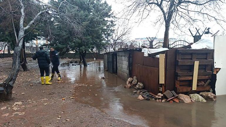 Mardin'de şiddetli yağış felakete yol açtı! Araçlar sürüklendi, hayvanlar telef oldu