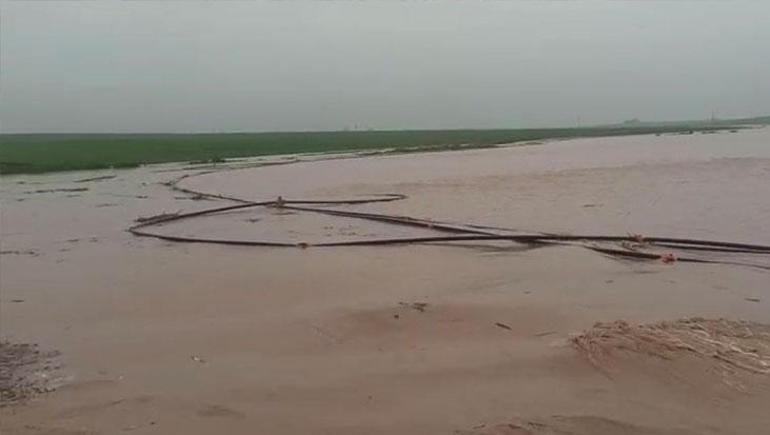 Mardin'de şiddetli yağış felakete yol açtı! Araçlar sürüklendi, hayvanlar telef oldu