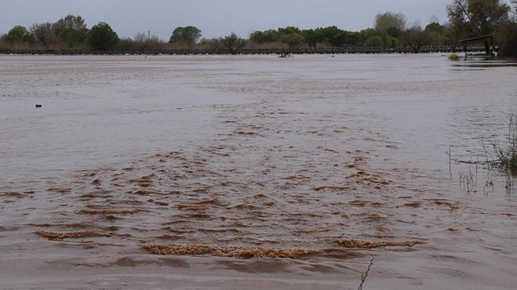 Sel alarmı! Gediz Nehri taştı; tarım arazileri, bahçeler sulara gömüldü