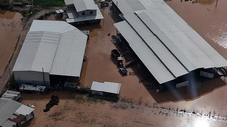 Sel alarmı! Gediz Nehri taştı; tarım arazileri, bahçeler sulara gömüldü