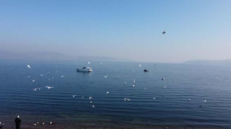 Sapanca Gölü'nde su seviyesi, 1 ayda 17 santimetre arttı