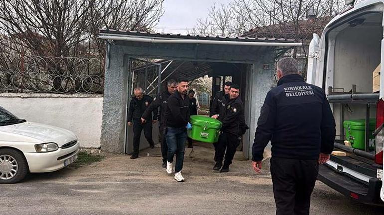 Aile içi kavga faciaya dönüştü: İki kardeş babalarını öldürdü