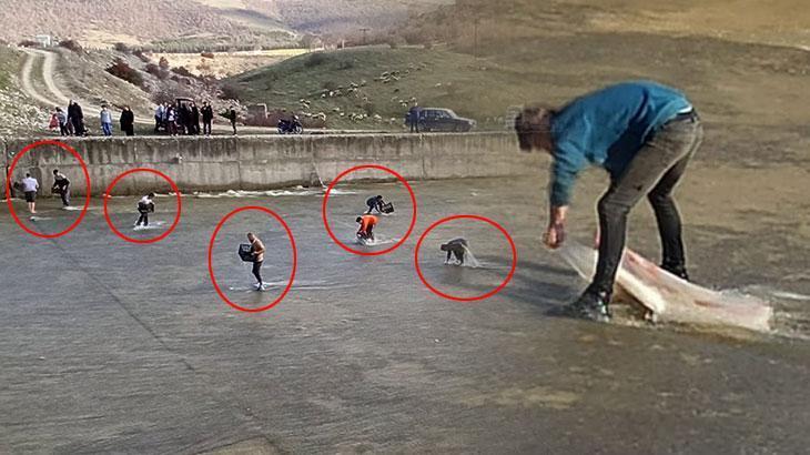 Eline çuvalı alan koştu! Toplamak için birbirleriyle yarıştılar: Bu sene bereketli