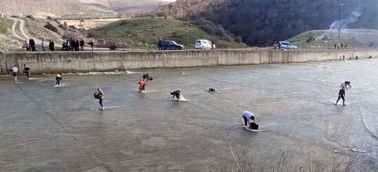 Eline çuvalı alan koştu! Toplamak için birbirleriyle yarıştılar: Bu sene bereketli