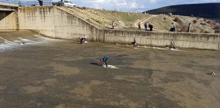 Eline çuvalı alan koştu! Toplamak için birbirleriyle yarıştılar: Bu sene bereketli