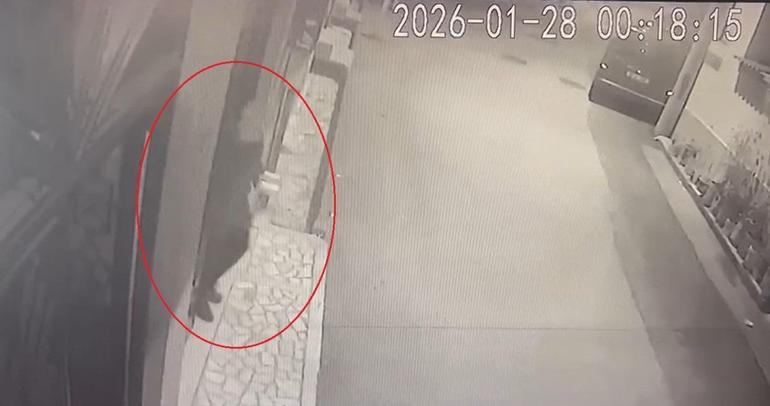 68 yaşındaki kadın eşini öldürdü, satırla 15 parçaya ayırdı! Nedeni şoke etti