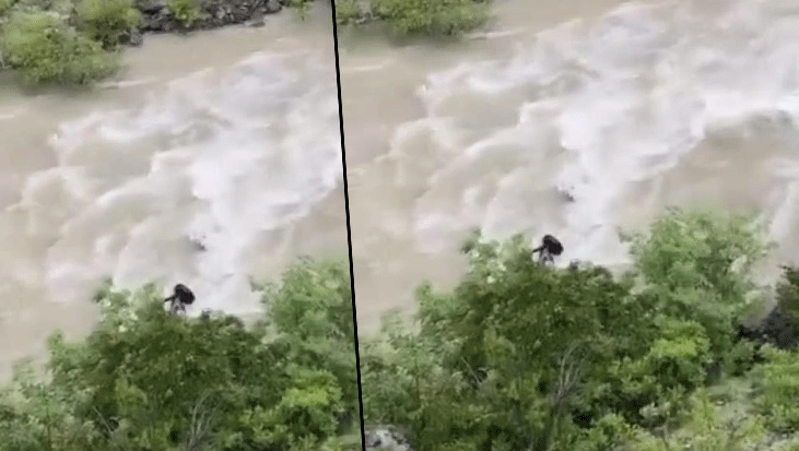 Otomobil Çoruh Nehri’ne düştü: Baba ile oğlu aranıyor