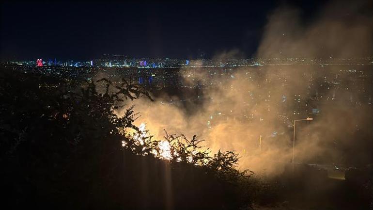 İzmir'deki orman yangınında 5 saatlik mücadele sonuç verdi